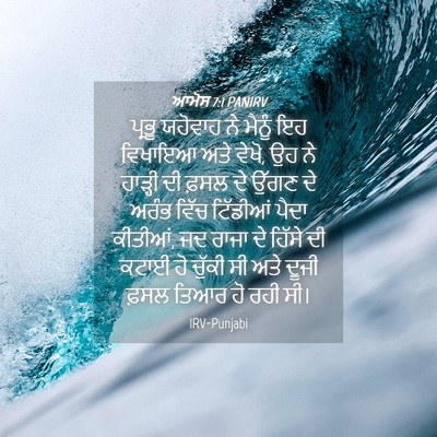 Picture 04 - ਆਮੋਸ 7:1 PANIRV - ਪ੍ਰਭੂ ਯਹੋਵਾਹ ਨੇ - Bible Verse Picture
