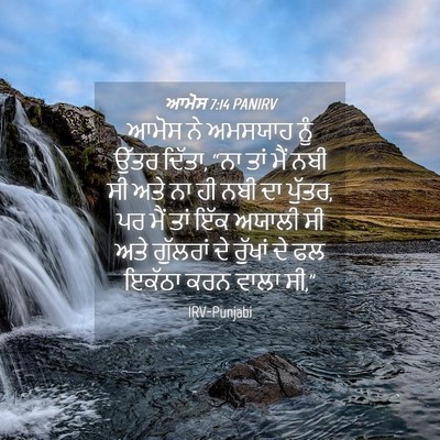 Picture 04 - ਆਮੋਸ 7:14 PANIRV - ਆਮੋਸ ਨੇ ਅਮਸਯਾਹ ਨੂੰ - Bible Verse Picture