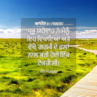 Picture 04 - ਆਮੋਸ 8:1 PANIRV - ਪ੍ਰਭੂ ਯਹੋਵਾਹ ਨੇ - Bible Verse Picture