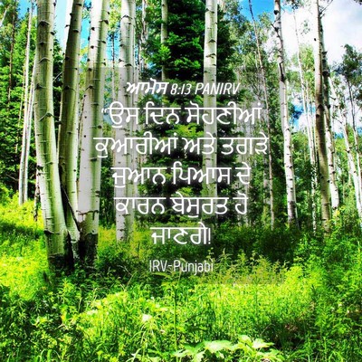 Picture 04 - ਆਮੋਸ 8:13 PANIRV - “ਉਸ ਦਿਨ ਸੋਹਣੀਆਂ - Bible Verse Picture