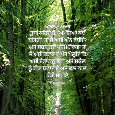 Picture 04 - ਆਮੋਸ 8:5 PANIRV - ਤੁਸੀਂ ਕਹਿੰਦੇ ਹੋ, - Bible Verse Picture