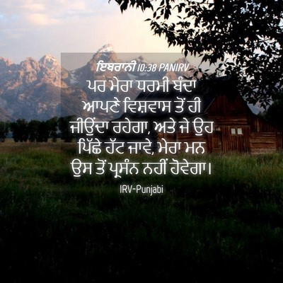 Picture 04 - ਇਬਰਾਨੀ 10:38 PANIRV - ਪਰ ਮੇਰਾ ਧਰਮੀ ਬੰਦਾ - Bible Verse Picture