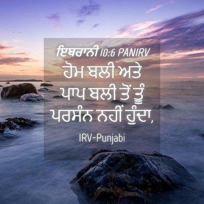 Picture 04 - ਇਬਰਾਨੀ 10:6 PANIRV - ਹੋਮ ਬਲੀ ਅਤੇ ਪਾਪ ਬਲੀ - Bible Verse Picture