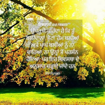 Picture 04 - ਇਬਰਾਨੀ 10:8 PANIRV - ਉੱਪਰ ਜੋ ਕਹਿੰਦਾ ਹੈ - Bible Verse Picture