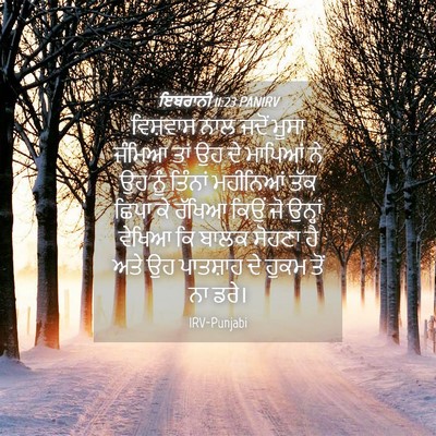 Picture 04 - ਇਬਰਾਨੀ 11:23 PANIRV - ਵਿਸ਼ਵਾਸ ਨਾਲ ਜਦੋਂ - Bible Verse Picture