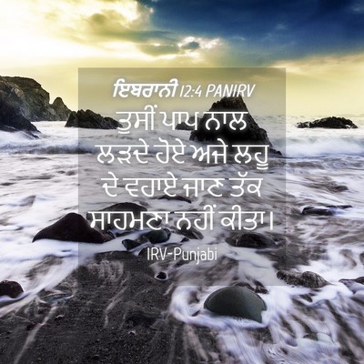 Picture 04 - ਇਬਰਾਨੀ 12:4 PANIRV - ਤੁਸੀਂ ਪਾਪ ਨਾਲ ਲੜਦੇ - Bible Verse Picture