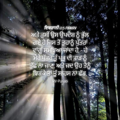 Picture 04 - ਇਬਰਾਨੀ 12:5 PANIRV - ਅਤੇ ਤੁਸੀਂ ਉਸ - Bible Verse Picture