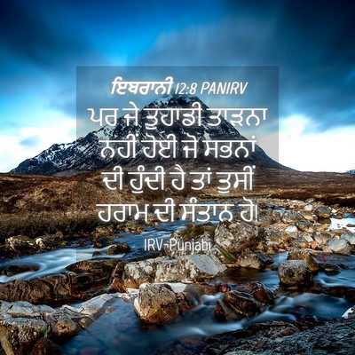 Picture 04 - ਇਬਰਾਨੀ 12:8 PANIRV - ਪਰ ਜੇ ਤੁਹਾਡੀ ਤਾੜਨਾ - Bible Verse Picture