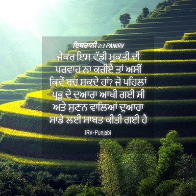 Picture 04 - ਇਬਰਾਨੀ 2:3 PANIRV - ਜੇਕਰ ਇਸ ਵੱਡੀ ਮੁਕਤੀ - Bible Verse Picture