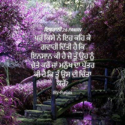 Picture 04 - ਇਬਰਾਨੀ 2:6 PANIRV - ਪਰ ਕਿਸੇ ਨੇ ਇਹ ਕਹਿ - Bible Verse Picture