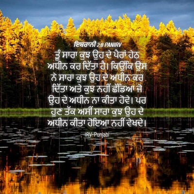 Picture 04 - ਇਬਰਾਨੀ 2:8 PANIRV - ਤੂੰ ਸਾਰਾ ਕੁਝ ਉਹ ਦੇ - Bible Verse Picture