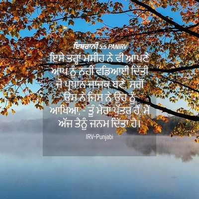 Picture 04 - ਇਬਰਾਨੀ 5:5 PANIRV - ਇਸੇ ਤਰ੍ਹਾਂ ਮਸੀਹ ਨੇ - Bible Verse Picture