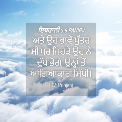 Picture 04 - ਇਬਰਾਨੀ 5:8 PANIRV - ਅਤੇ ਉਹ ਭਾਵੇਂ ਪੁੱਤਰ - Bible Verse Picture
