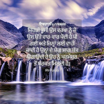 Picture 04 - ਇਬਰਾਨੀ 6:7 PANIRV - ਜਿਹੜੀ ਭੂਮੀ ਉਸ ਵਰਖਾ - Bible Verse Picture