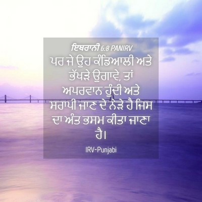 Picture 04 - ਇਬਰਾਨੀ 6:8 PANIRV - ਪਰ ਜੇ ਉਹ ਕੰਡਿਆਲੀ - Bible Verse Picture
