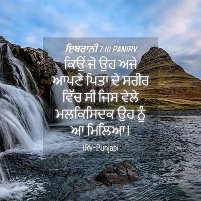 Picture 04 - ਇਬਰਾਨੀ 7:10 PANIRV - ਕਿਉਂ ਜੋ ਉਹ ਅਜੇ ਆਪਣੇ - Bible Verse Picture