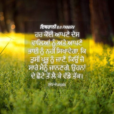 Picture 04 - ਇਬਰਾਨੀ 8:11 PANIRV - ਹਰ ਕੋਈ ਆਪਣੇ ਦੇਸ - Bible Verse Picture