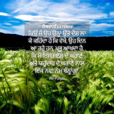 Picture 04 - ਇਬਰਾਨੀ 8:8 PANIRV - ਕਿਉਂ ਜੋ ਉਹ ਉਨ੍ਹਾਂ - Bible Verse Picture