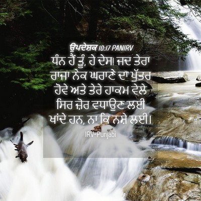 Picture 04 - ਉਪਦੇਸ਼ਕ 10:17 PANIRV - ਧੰਨ ਹੈਂ ਤੂੰ, ਹੇ ਦੇਸ! - Bible Verse Picture