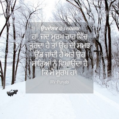 Picture 04 - ਉਪਦੇਸ਼ਕ 10:3 PANIRV - ਹਾਂ, ਜਦ ਮੂਰਖ ਰਾਹ - Bible Verse Picture