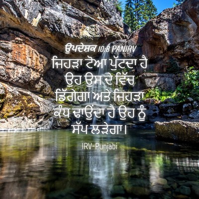 Picture 04 - ਉਪਦੇਸ਼ਕ 10:8 PANIRV - ਜਿਹੜਾ ਟੋਆ ਪੁੱਟਦਾ - Bible Verse Picture