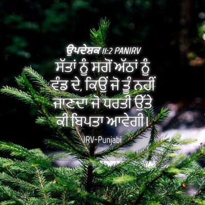Picture 04 - ਉਪਦੇਸ਼ਕ 11:2 PANIRV - ਸੱਤਾਂ ਨੂੰ ਸਗੋਂ - Bible Verse Picture