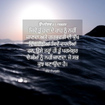 Picture 04 - ਉਪਦੇਸ਼ਕ 11:5 PANIRV - ਜਿਵੇਂ ਤੂੰ ਹਵਾ ਦੇ - Bible Verse Picture