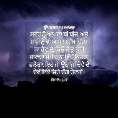 Picture 04 - ਉਪਦੇਸ਼ਕ 11:6 PANIRV - ਸਵੇਰ ਨੂੰ ਆਪਣਾ ਬੀ - Bible Verse Picture