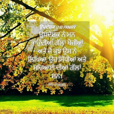 Picture 04 - ਉਪਦੇਸ਼ਕ 12:10 PANIRV - ਉਪਦੇਸ਼ਕ ਨੇ ਮਨ - Bible Verse Picture
