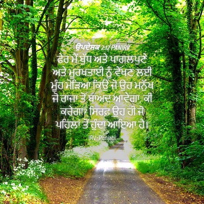Picture 04 - ਉਪਦੇਸ਼ਕ 2:12 PANIRV - ਫੇਰ ਮੈਂ ਬੁੱਧ ਅਤੇ - Bible Verse Picture