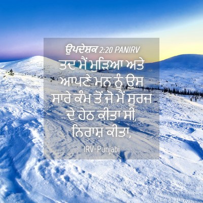 Picture 04 - ਉਪਦੇਸ਼ਕ 2:20 PANIRV - ਤਦ ਮੈਂ ਮੁੜਿਆ ਅਤੇ - Bible Verse Picture