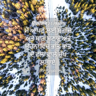 Picture 04 - ਉਪਦੇਸ਼ਕ 2:5 PANIRV - ਮੈਂ ਆਪਣੇ ਲਈ ਬਗੀਚੇ - Bible Verse Picture