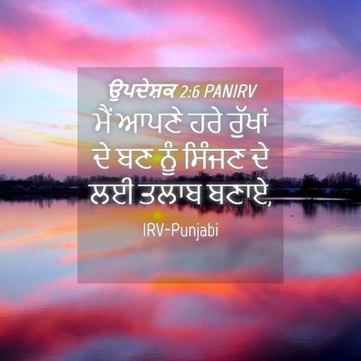 Picture 04 - ਉਪਦੇਸ਼ਕ 2:6 PANIRV - ਮੈਂ ਆਪਣੇ ਹਰੇ - Bible Verse Picture
