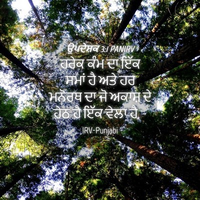 Picture 04 - ਉਪਦੇਸ਼ਕ 3:1 PANIRV - ਹਰੇਕ ਕੰਮ ਦਾ ਇੱਕ - Bible Verse Picture