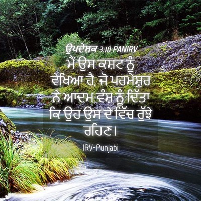 Picture 04 - ਉਪਦੇਸ਼ਕ 3:10 PANIRV - ਮੈਂ ਉਸ ਕਸ਼ਟ ਨੂੰ - Bible Verse Picture