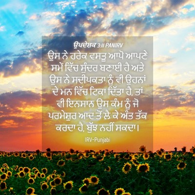 Picture 04 - ਉਪਦੇਸ਼ਕ 3:11 PANIRV - ਉਸ ਨੇ ਹਰੇਕ ਵਸਤੂ ਆਪੋ - Bible Verse Picture