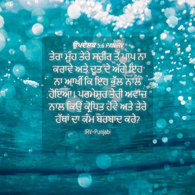 Picture 04 - ਉਪਦੇਸ਼ਕ 5:6 PANIRV - ਤੇਰਾ ਮੂੰਹ ਤੇਰੇ - Bible Verse Picture