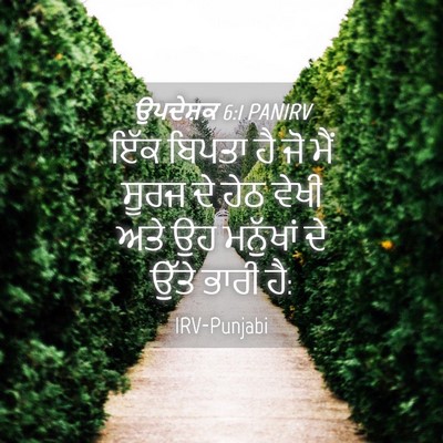 Picture 04 - ਉਪਦੇਸ਼ਕ 6:1 PANIRV - ਇੱਕ ਬਿਪਤਾ ਹੈ ਜੋ ਮੈਂ - Bible Verse Picture