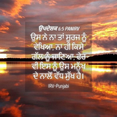Picture 04 - ਉਪਦੇਸ਼ਕ 6:5 PANIRV - ਉਸ ਨੇ ਨਾ ਤਾਂ ਸੂਰਜ - Bible Verse Picture