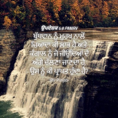 Picture 04 - ਉਪਦੇਸ਼ਕ 6:8 PANIRV - ਬੁੱਧਵਾਨ ਨੂੰ ਮੂਰਖ - Bible Verse Picture