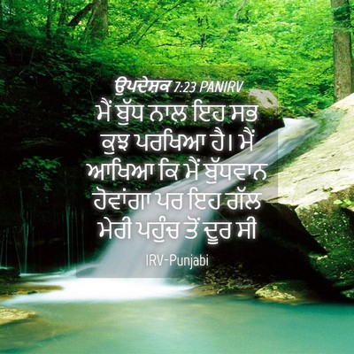 Picture 04 - ਉਪਦੇਸ਼ਕ 7:23 PANIRV - ਮੈਂ ਬੁੱਧ ਨਾਲ ਇਹ ਸਭ - Bible Verse Picture