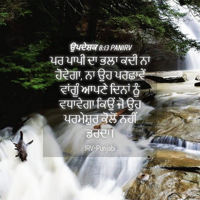 Picture 04 - ਉਪਦੇਸ਼ਕ 8:13 PANIRV - ਪਰ ਪਾਪੀ ਦਾ ਭਲਾ ਕਦੀ - Bible Verse Picture