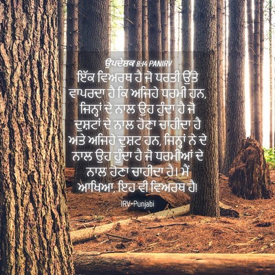 Picture 04 - ਉਪਦੇਸ਼ਕ 8:14 PANIRV - ਇੱਕ ਵਿਅਰਥ ਹੈ ਜੋ - Bible Verse Picture