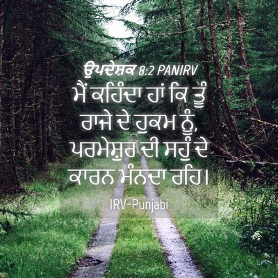 Picture 04 - ਉਪਦੇਸ਼ਕ 8:2 PANIRV - ਮੈਂ ਕਹਿੰਦਾ ਹਾਂ ਕਿ - Bible Verse Picture