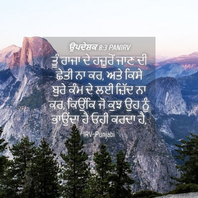 Picture 04 - ਉਪਦੇਸ਼ਕ 8:3 PANIRV - ਤੂੰ ਰਾਜਾ ਦੇ - Bible Verse Picture