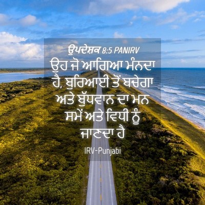 Picture 04 - ਉਪਦੇਸ਼ਕ 8:5 PANIRV - ਉਹ ਜੋ ਆਗਿਆ ਮੰਨਦਾ - Bible Verse Picture