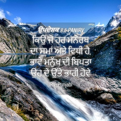 Picture 04 - ਉਪਦੇਸ਼ਕ 8:6 PANIRV - ਕਿਉਂ ਜੋ ਹਰ ਮਨੋਰਥ ਦਾ - Bible Verse Picture