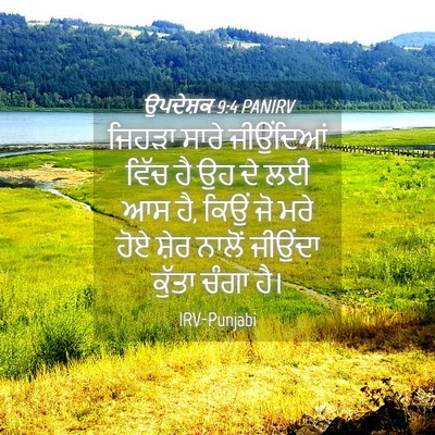 Picture 04 - ਉਪਦੇਸ਼ਕ 9:4 PANIRV - ਜਿਹੜਾ ਸਾਰੇ - Bible Verse Picture