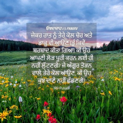 Picture 04 - ਓਬਦਯਾਹ 1:5 PANIRV - ਜੇਕਰ ਰਾਤ ਨੂੰ ਤੇਰੇ - Bible Verse Picture