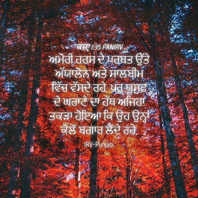 Picture 04 - ਕਜ਼ਾૃ 1:35 PANIRV - ਅਮੋਰੀ ਹਰਸ ਦੇ ਪਰਬਤ - Bible Verse Picture